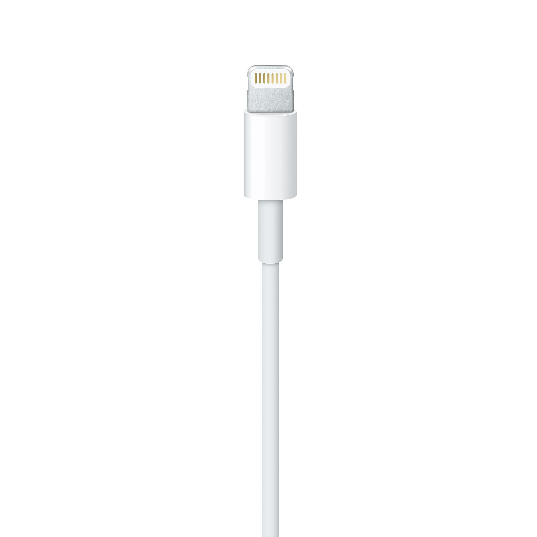 Apple Lightning to USB Charging and Syncing Cable, 1 - meter Length (MQUE2AM/A)