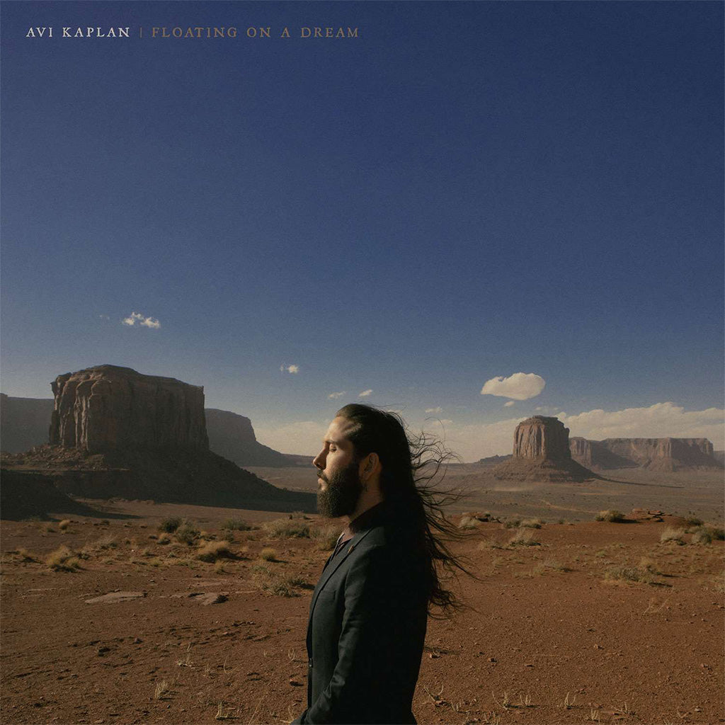 Avi Kaplan's Floating On A Dream - A Stunning Vinyl LP Release (AE)