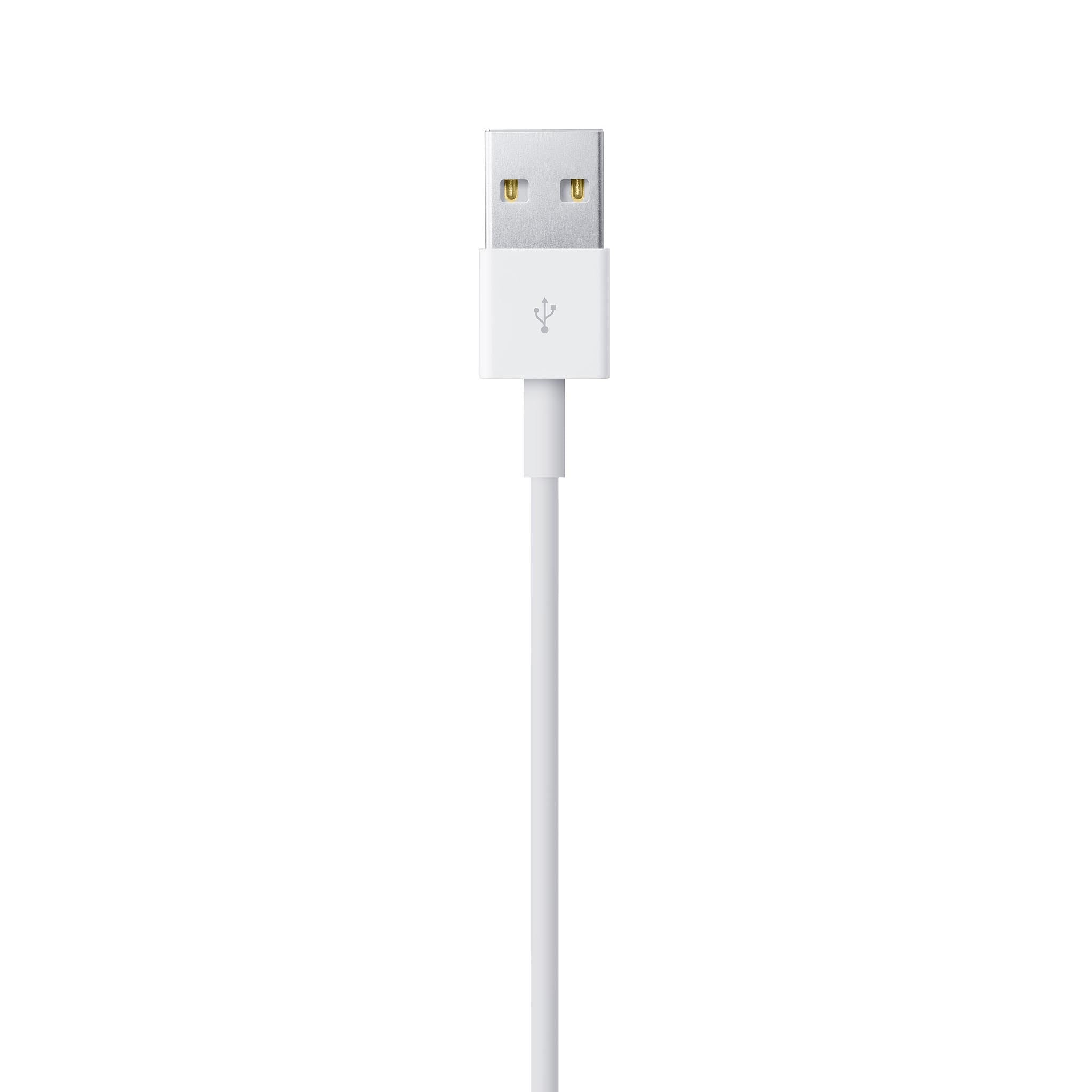 Apple Lightning to USB Charging and Syncing Cable, 1 - meter Length (MQUE2AM/A)