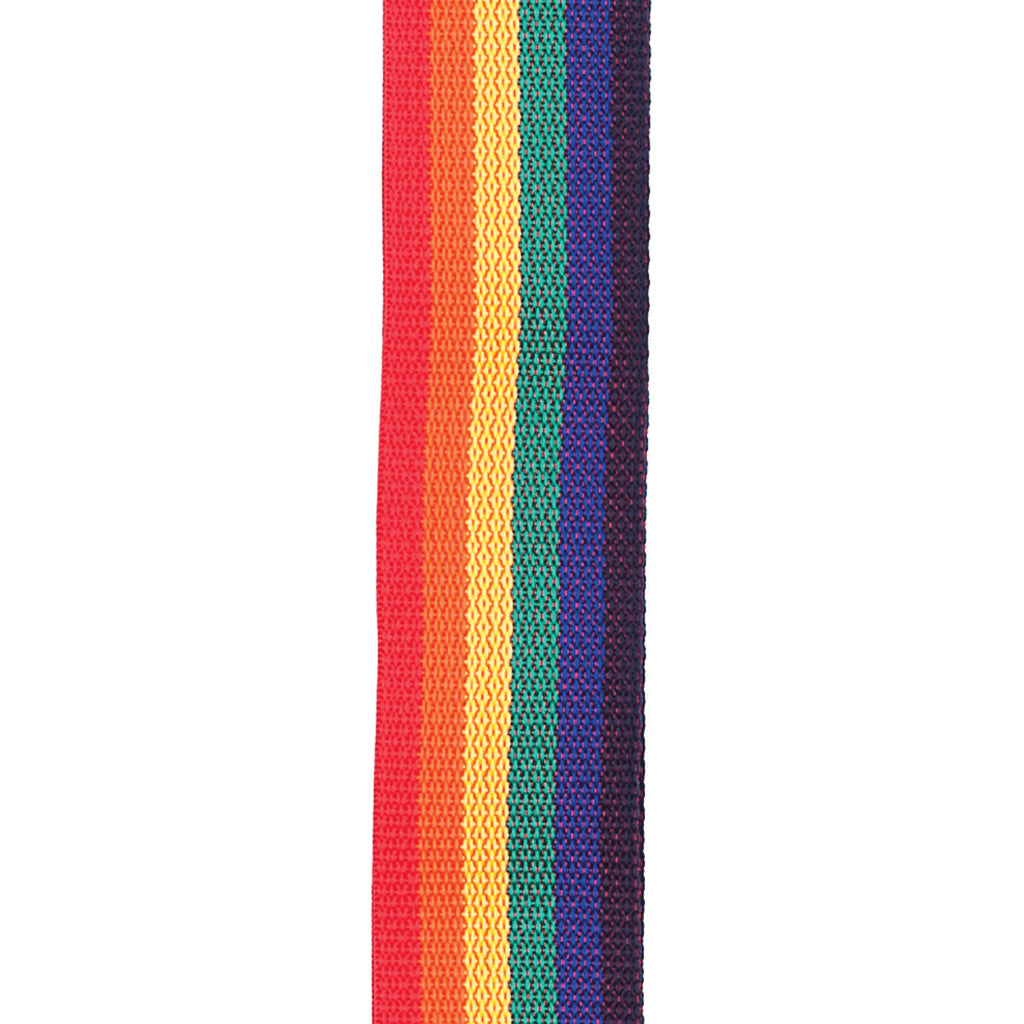 D'Addario Polypropylene Rainbow Guitar Strap - PWS111 for Comfortable and Stylish Guitar Playing
