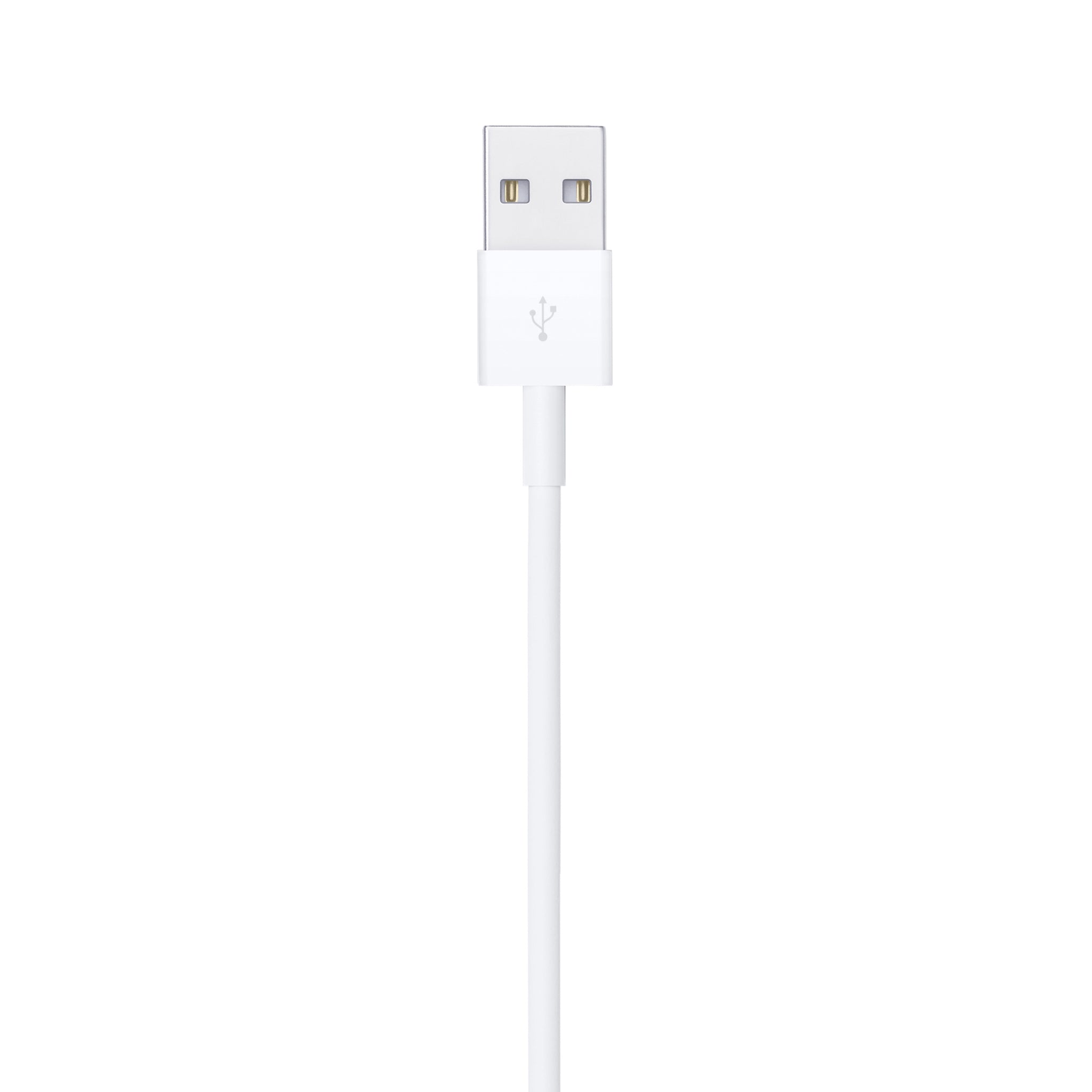 1m Apple Lightning to USB 2.0 Cable for Syncing and Charging