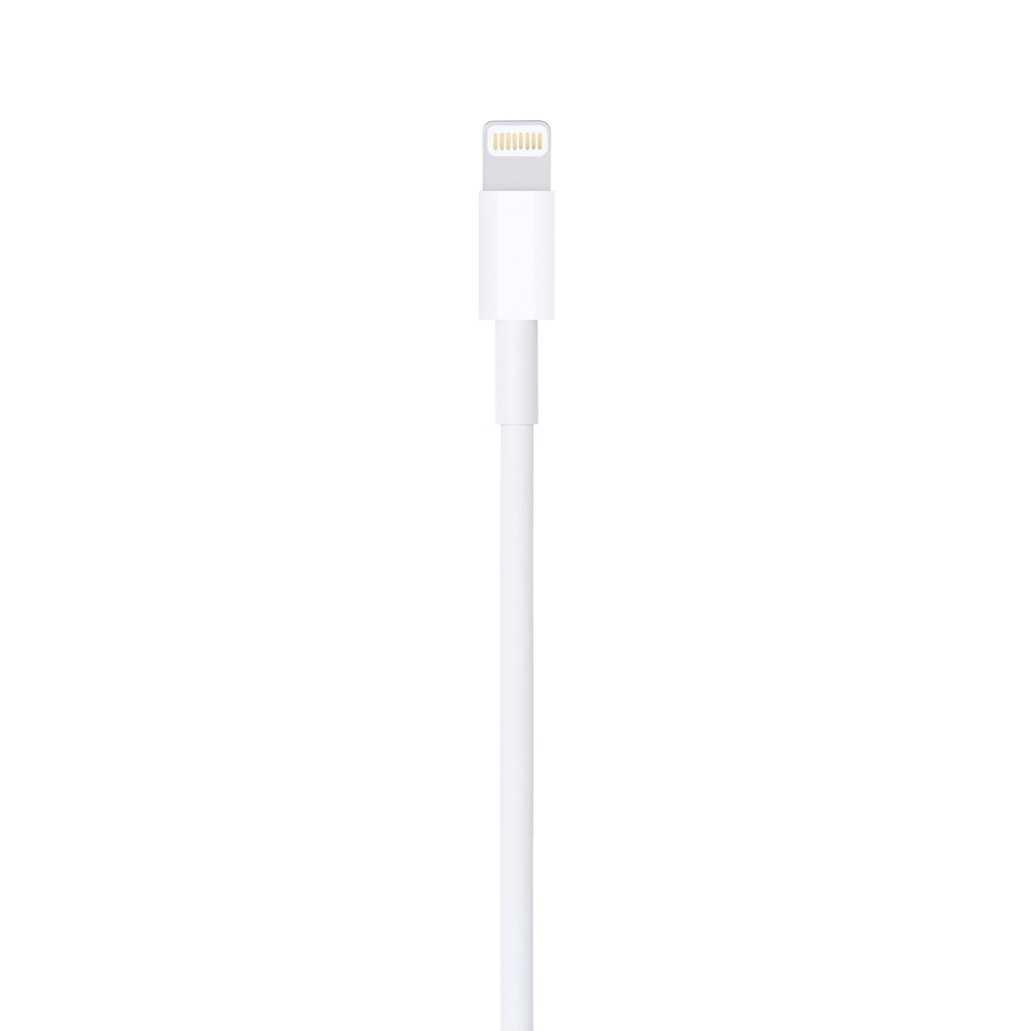 1m Apple Lightning to USB 2.0 Cable for Syncing and Charging
