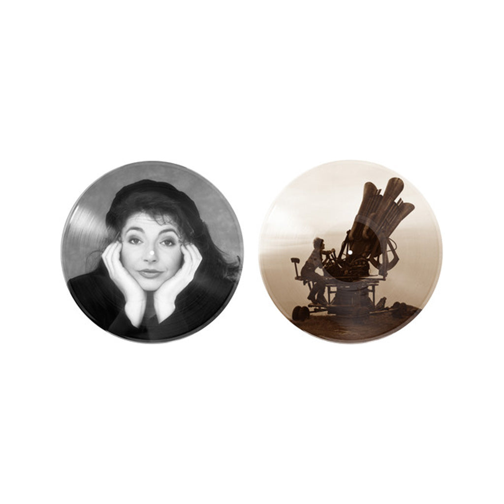 2019 Limited Picture Disc Vinyl - Kate Bush's 'Cloudbusting'