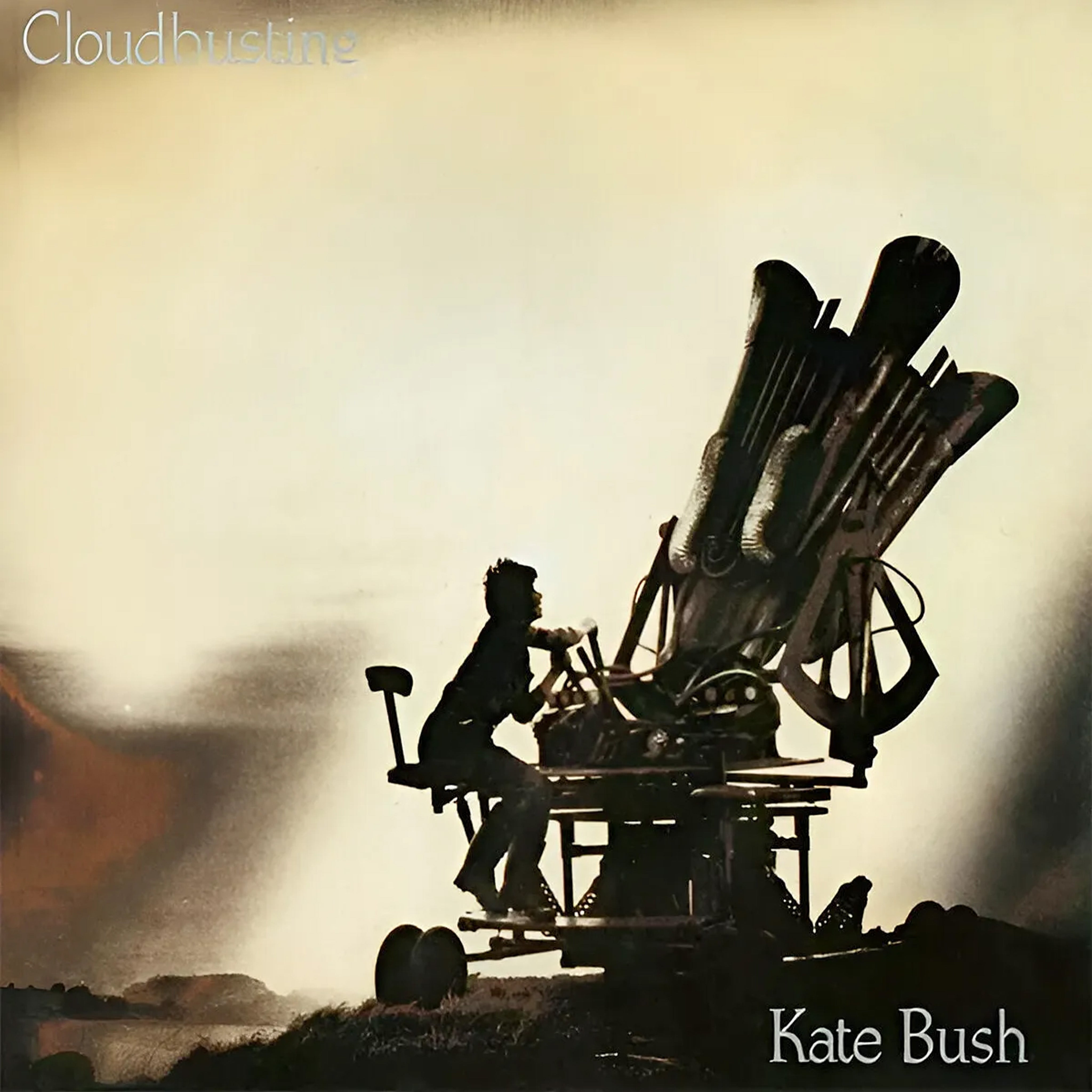 2019 Limited Picture Disc Vinyl - Kate Bush's 'Cloudbusting'