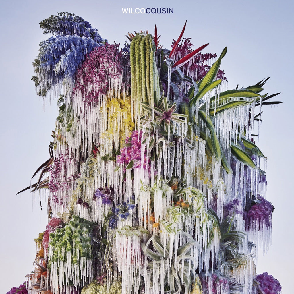 Wilco's 'Cousin' Vinyl Record (AE Edition)
