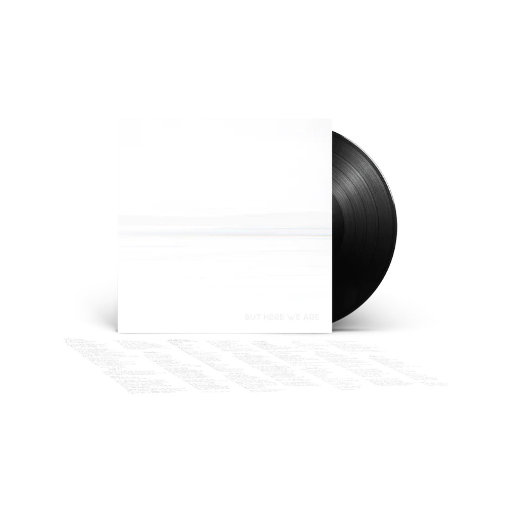 Foo Fighters - But Here We Are (Black Vinyl LP, 2023 Release)