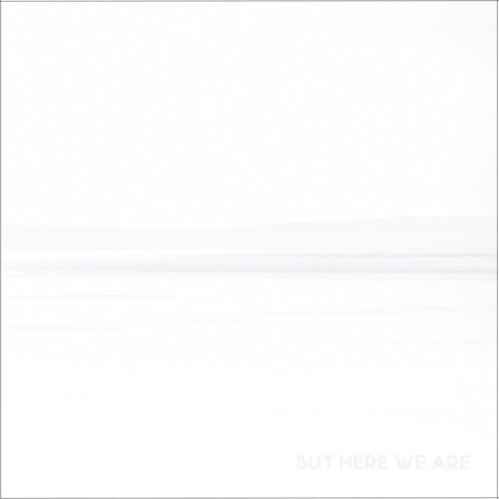 Foo Fighters - But Here We Are (Black Vinyl LP, 2023 Release)