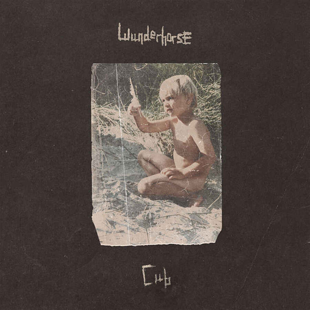 Vinyl LP Record - Cub by Wunderhorse (AE Edition)